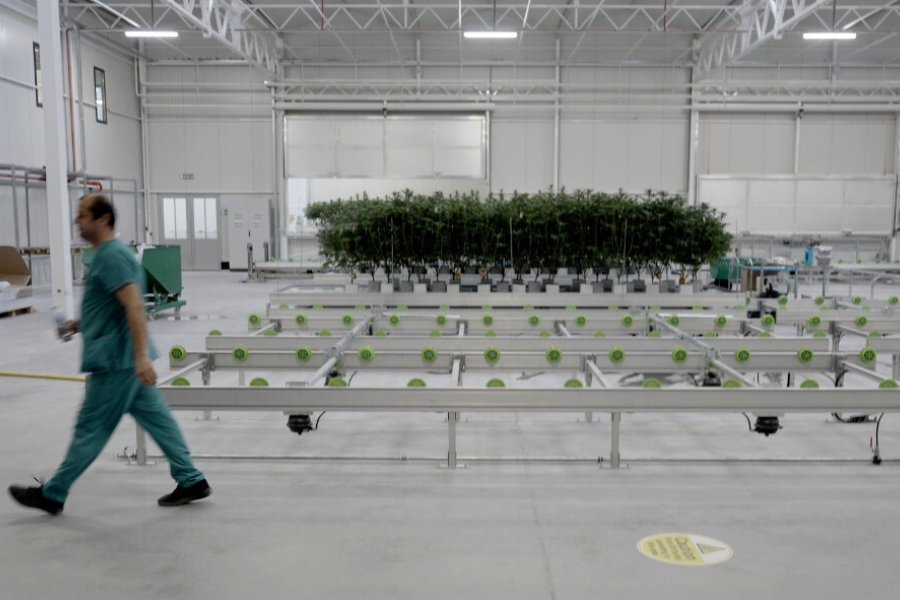 The Business Magazine article image for: Surrey medical cannabis firm Glass Pharms signs multimillion-pound deal